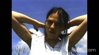 Lisa Germano - Interview (1995)