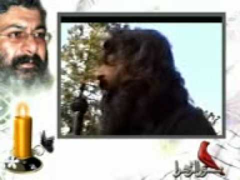 محمد رضا آغاسی aghasi 1