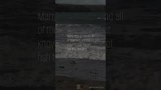 Go Fishing! - All That's Good Comes With Some Risk video
