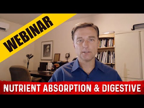 BILE What is BILE and Where is it Produced – Dr Berg