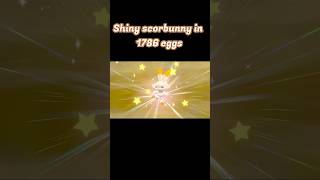 Shiny Scorbunny in 1786 eggs                #pokemon #shinypokemon #pokemonswordshield