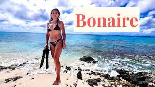 Bonaire's Secret Snorkeling Gems | 4K Underwater Video w/Music #ocean