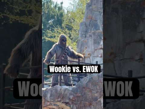 WHO’S TALLER! #funny #chewbacca #ewok #wicket #starwars #trending #viralshort #youtubeshort