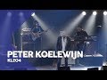 Peter Koelewijn - KL204 (Als ik God was) | Sterren in Concert