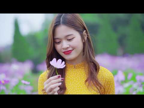 The best Bolero Viet Nam | Reggae Mickey Porterfield Song Ledesma Reggae 726