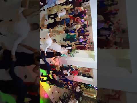 Marius Măcelaru si Clasic Band - Nunta Casa Ardeleană