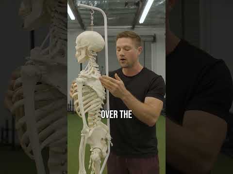 The Truth About Fixing “Slouched Shoulders” or “Desk Posture”