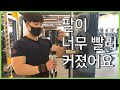 헬린이가 2년간 기본 삼두운동만 했더니 일어난 변화