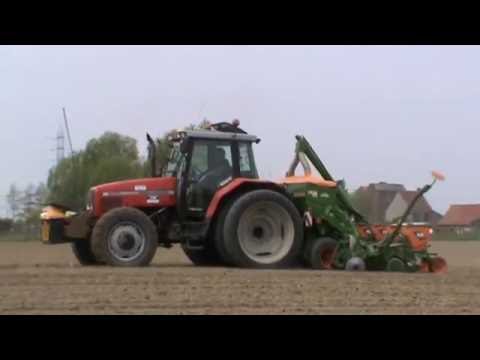 Loonw. VDC - Dentergem