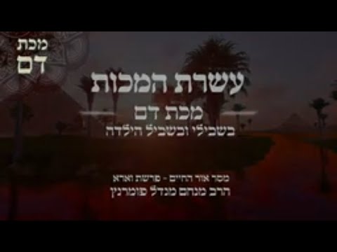 עשרת המכות - מסר אור החיים - פרשת וארא תשפ"ב