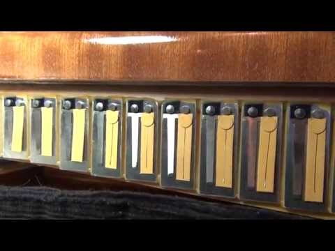 Bugari Armando Artist Cass. accordion reeds