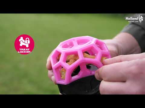 Dog Comets Moonstone