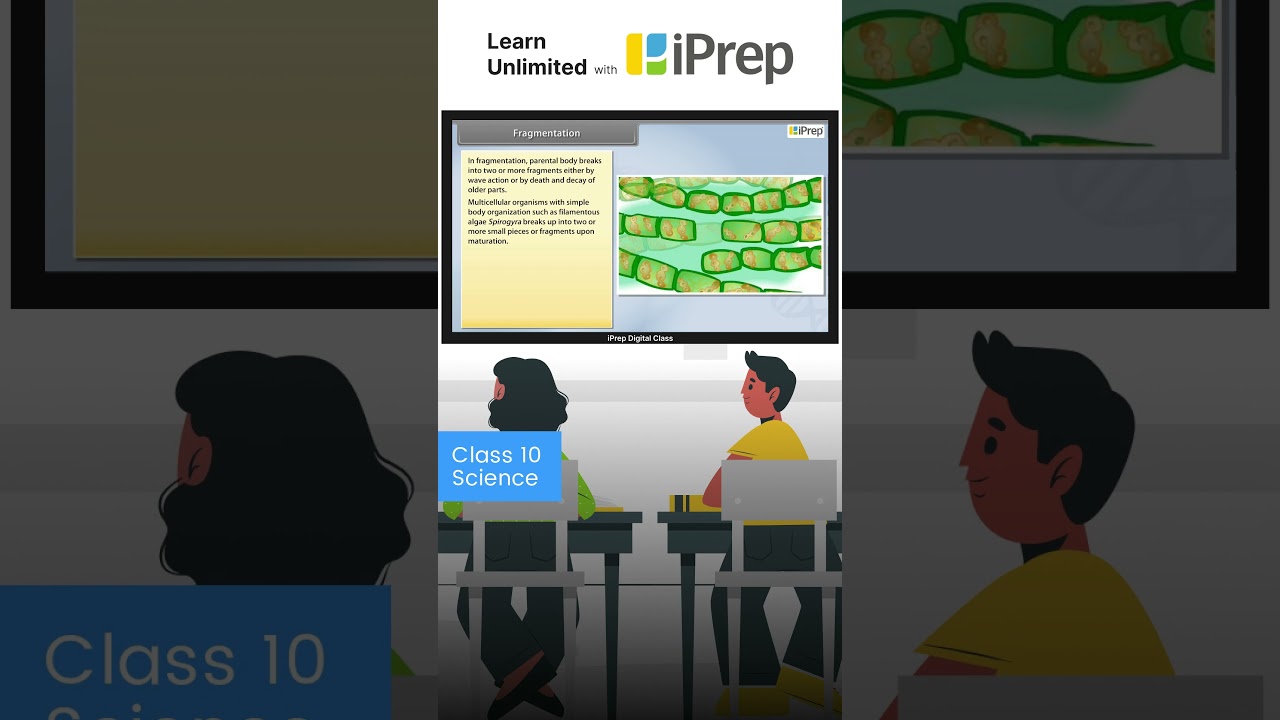 Fragmentation | How Do Organisms Reproduce? | Science | Class 10 | iPrep  #iprep #learningapp
