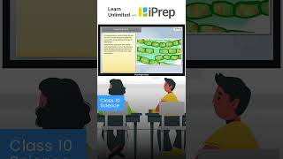 Fragmentation | How Do Organisms Reproduce? | Science | Class 10 | iPrep  #iprep #learningapp