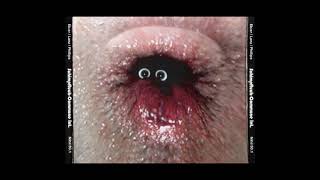 Schimpfluch-Commune Int. - Runzelstirn & Gurgelstøck, Dave Phillips, Joke Lanz