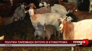 ΠΟΛΙΤΙΚΗ ΠΑΡΕΜΒΑΣΗ ΖΗΤΟΥΝ ΟΙ ΚΤΗΝΟΤΡΟΦΟΙ 11 08 2014