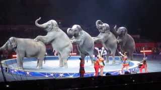 Ringling Brothers Circus - Cruelty to Elephants - Sept 1, 2014