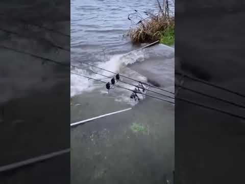 Trakker tempest in the floods