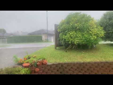 Summer Rain 2023-01-27