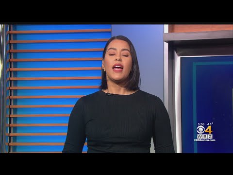 Loaded Gun Found At Logan