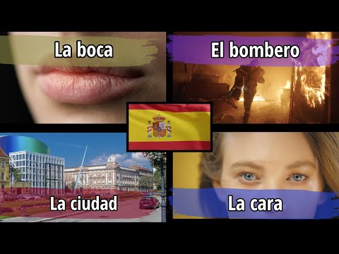 400 Spanish Words for Everyday Life - Basic Vocabulary with Comprehensible Input Spanish