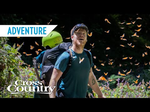 Trailer: Benjamin Jordan's Fly Monarca