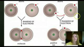 Biology- Basic Chemistry Relating to Biology