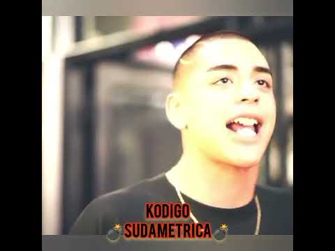 Kodigo freestyle.sudametrica