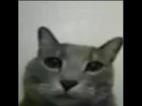 Entry Point | New Scientist Loud OST | Ft. Zeltarez