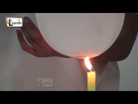 Fire and Water Balloon - Science Experiment for School Kids