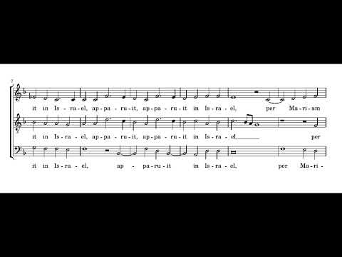 Lassus: Resonet in laudibus - Sixteen