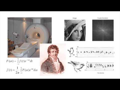 Birth of an Idea - Cedric Villani