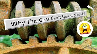 The Secret Behind Worm Gears: Why They Don’t Spin Backwards! #mechanical principles | #deepdive