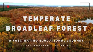 TEMPERATE BROADLEAF FOREST BIOME | 🍂🌳
