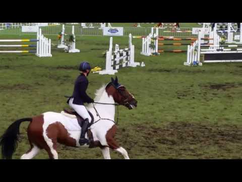 Beluga HOY.2017..CLEAR 1.15m