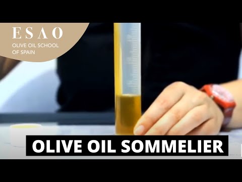 Curso Básico Online: Sommelier de Azeites