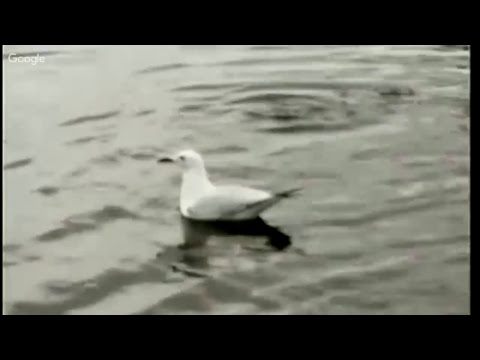 夏珍專欄