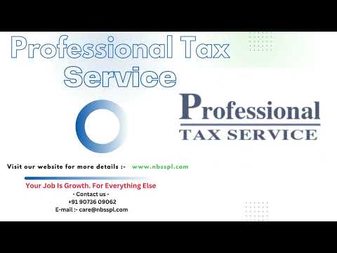 Professional tax service