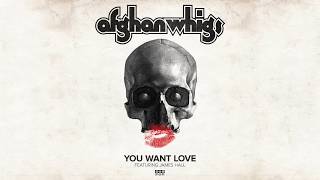 The Afghan Whigs - You Want Love (feat. James Hall)