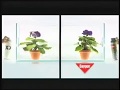 Baygon Waterbased Formula TVC 2012 2013