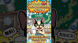 無料でカルピスが飲み放題の1日！！全国のカインズが大暴走するぞ