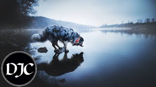 Blaqout - F Dat (ft. Ra the Rugged Man)