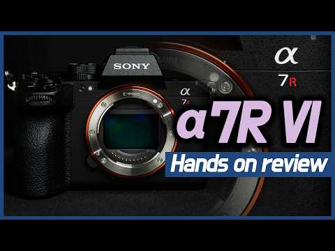 SONY ���� A7R VI �ٵ�