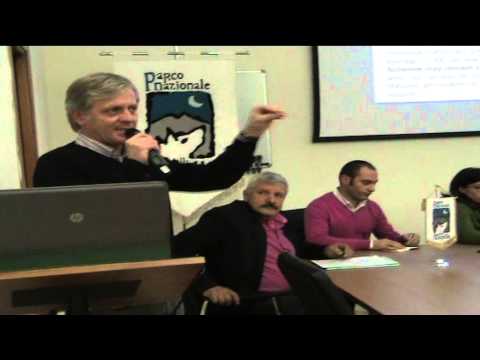 ONDA TG 15.12.2014 - APICOLTURA   INCONTRO DI AGGIORNAMENTO