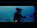 BIG BLUE SEA UW SCENE 6