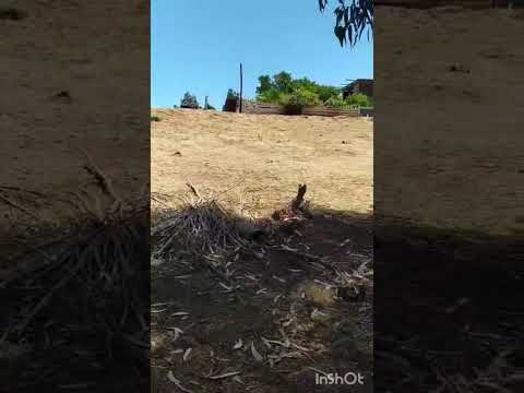Video Parcela con Casa en El Tabo, Valparaíso