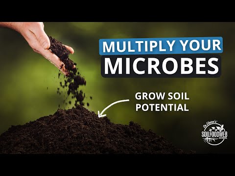 3-Steps to Rapid Soil Regeneration Part 2: Multiplying the Beneficial Microbes