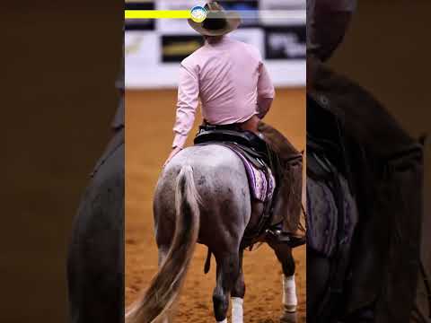 Кінський хвіст: Чому коням потрібен регулярний «манікюр»?