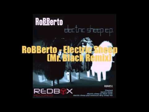 RoBBerto - Electric Sheep (Mr Black Remix)(Promo)