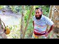 ইকু সিকুর কাঠাল চুরি Comedy Natok Rh Media247 Viralvideo Funny Com